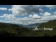 Forest Blue Sky 1 1202